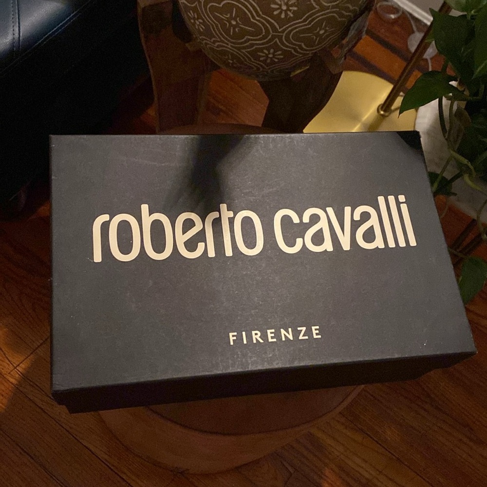 Roberto Cavalier Slides - Picture 3 of 3